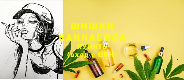 хмурый Лиски