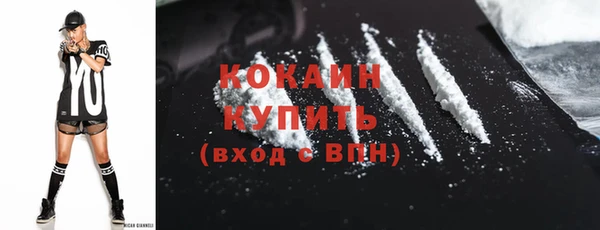 хмурый Лиски