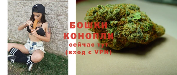 хмурый Лиски