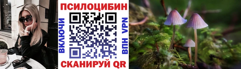 Галлюциногенные грибы мухоморы  Купить закладки  Байкальск 